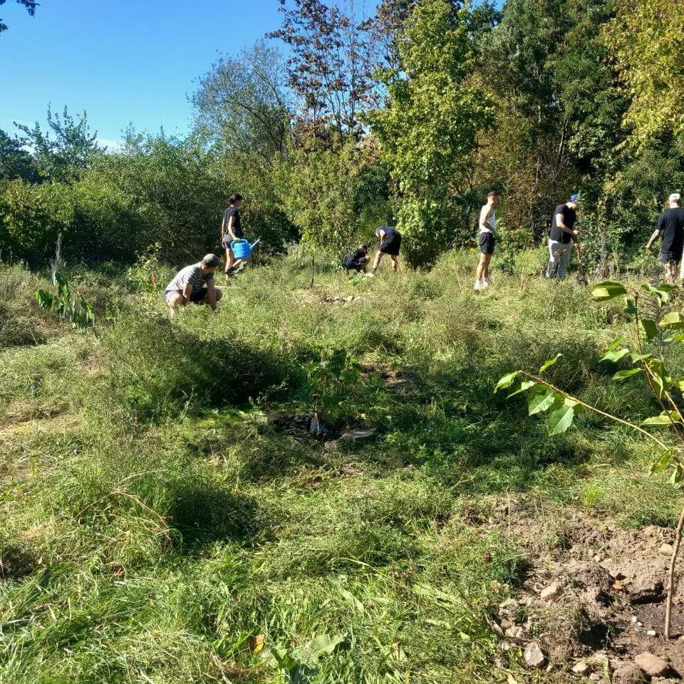 September 2023: Planting of a rubble fallow with diverse species